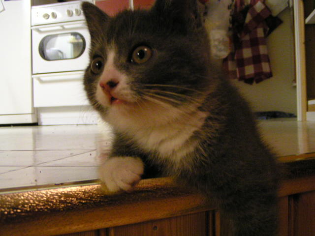 20031231_231521_0.jpg