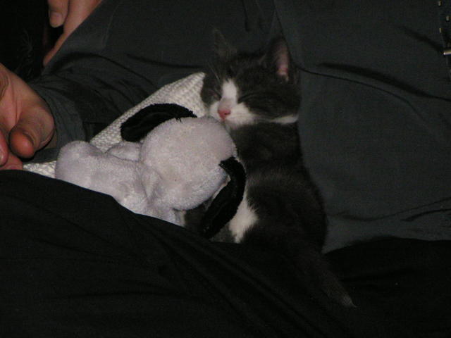 20040101_004707_0.jpg