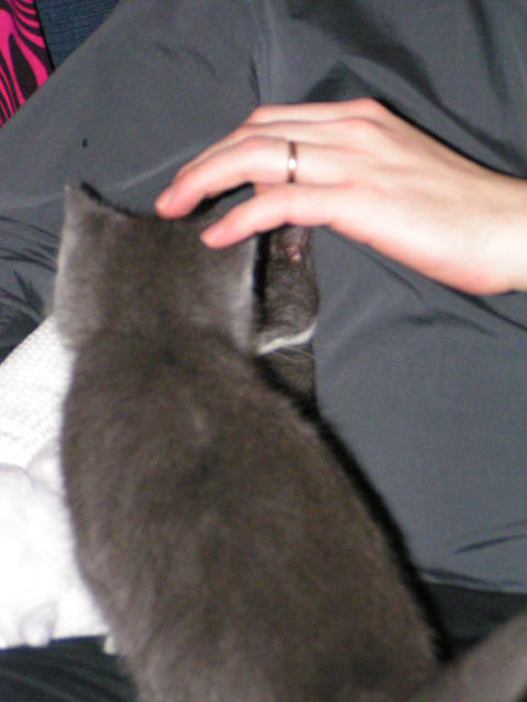 20040101_005220_0.jpg