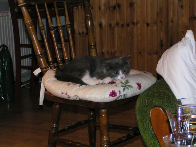 20040101_012321_0.jpg