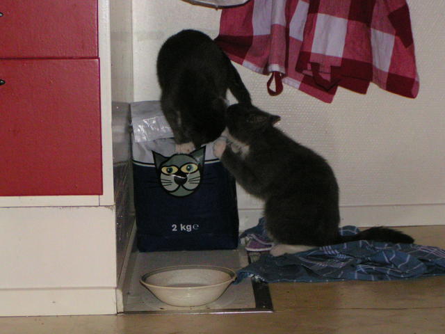 20040101_015056_0.jpg