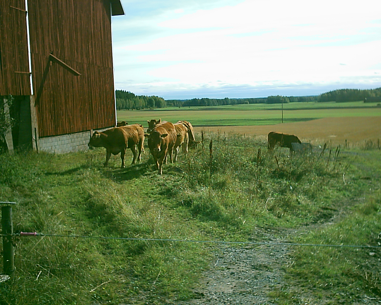 20030920_145006_0.jpg