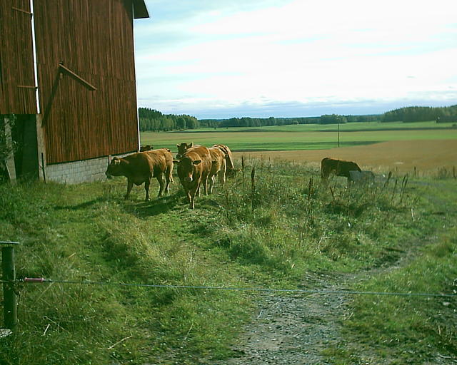 20030920_145006_0.jpg