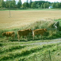 20030920_145636_0.jpg