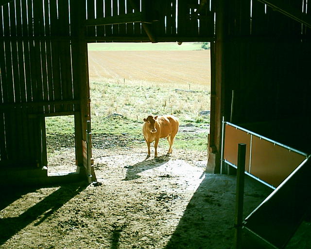 20030920_150034_0.jpg