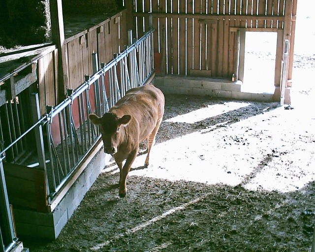 20030920_150118_0.jpg