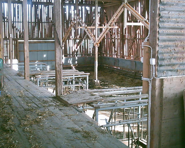20030920_150158_0.jpg