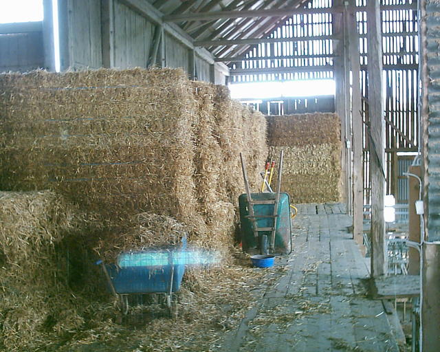 20030920_150212_0.jpg