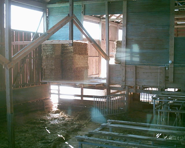 20030920_150250_0.jpg