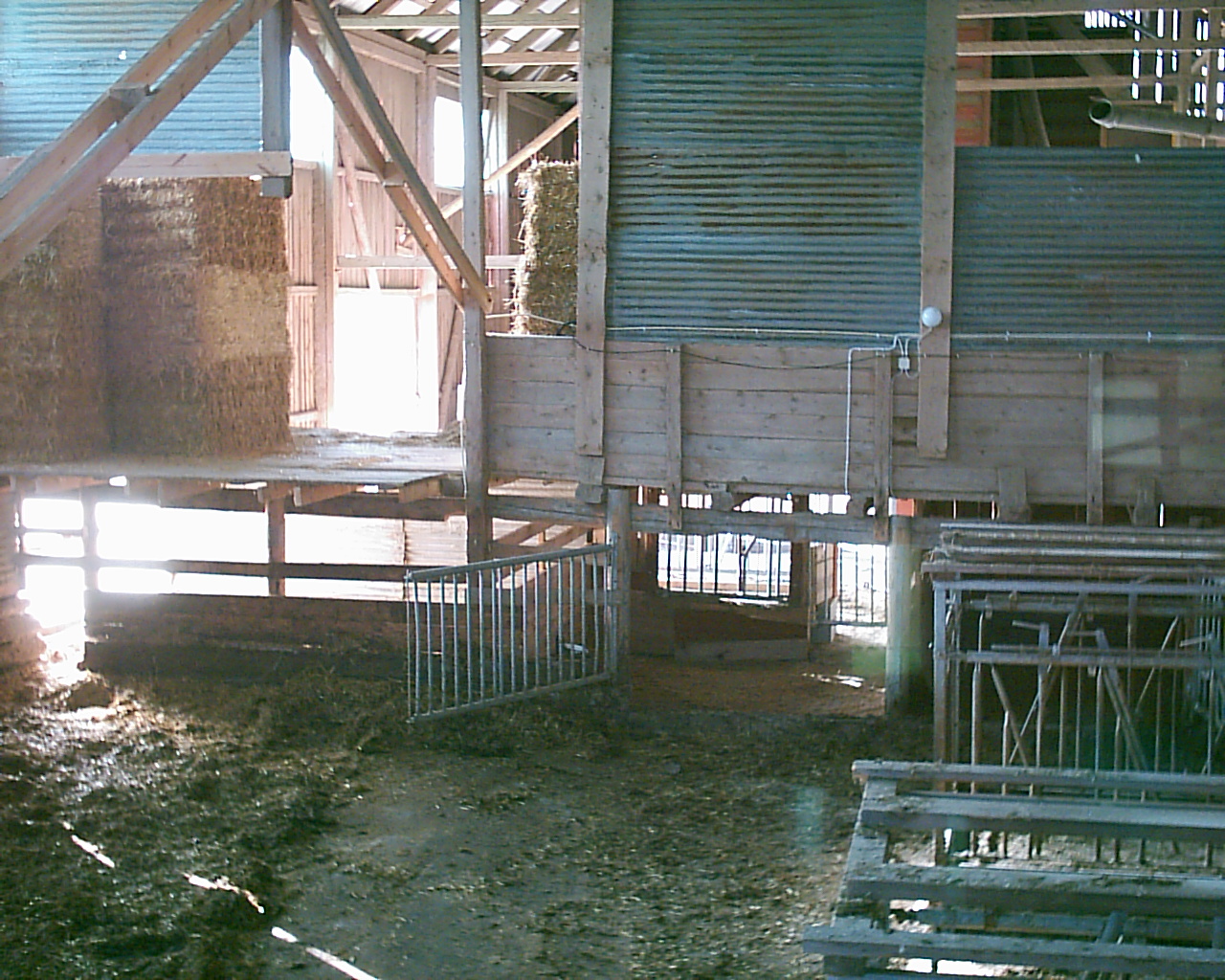 20030920_150306_0.jpg