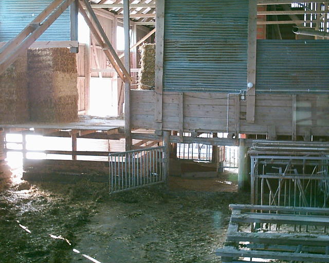 20030920_150306_0.jpg