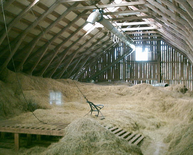 20030920_150440_0.jpg