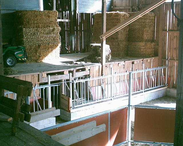 20030920_150718_0.jpg