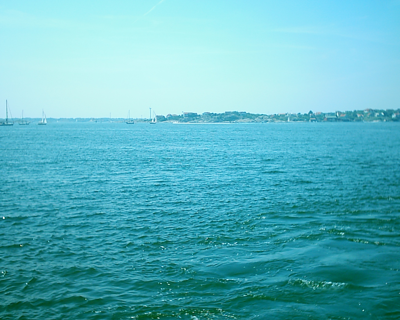20030720_142702.jpg
