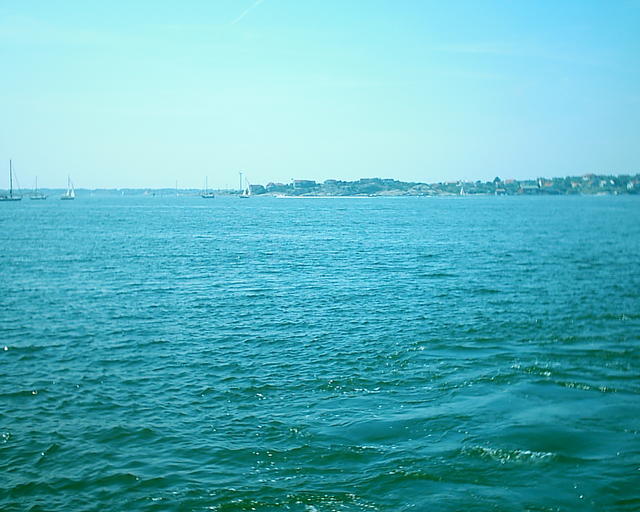 20030720_142702.jpg