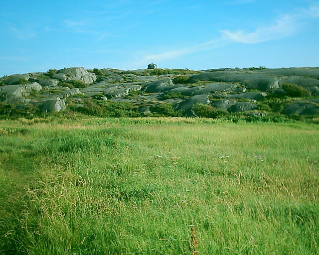 20030720_184038.jpg