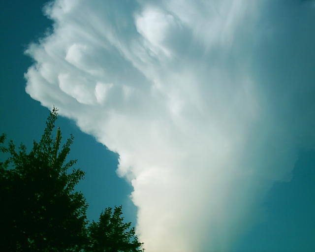 20030716_205944.jpg