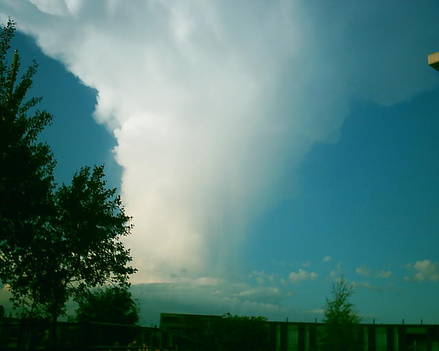 20030716_205958.jpg