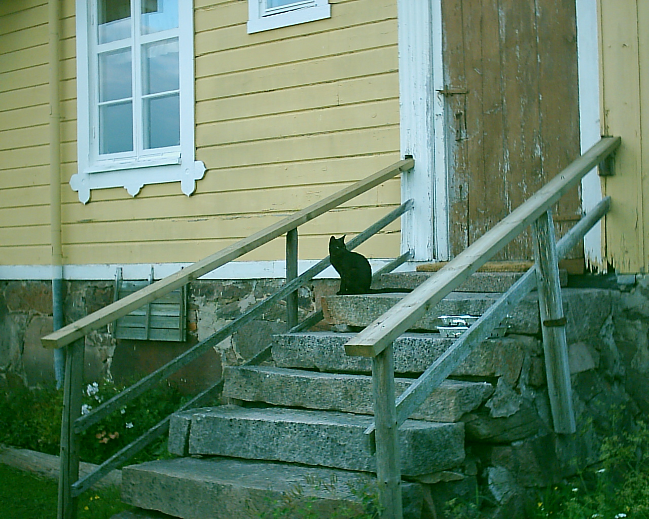 Grannens ena katt
