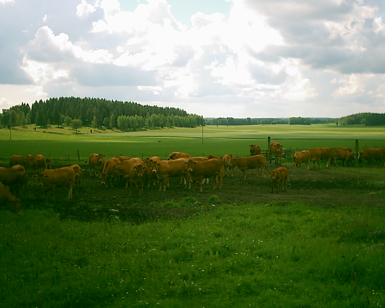 20030706_111214.jpg