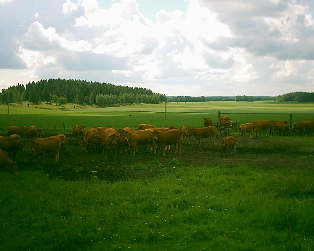 20030706_111214.jpg