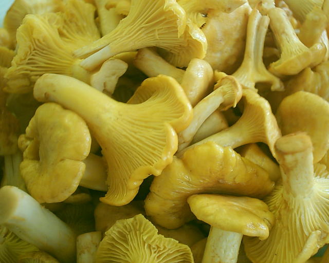 20030707_131834.jpg