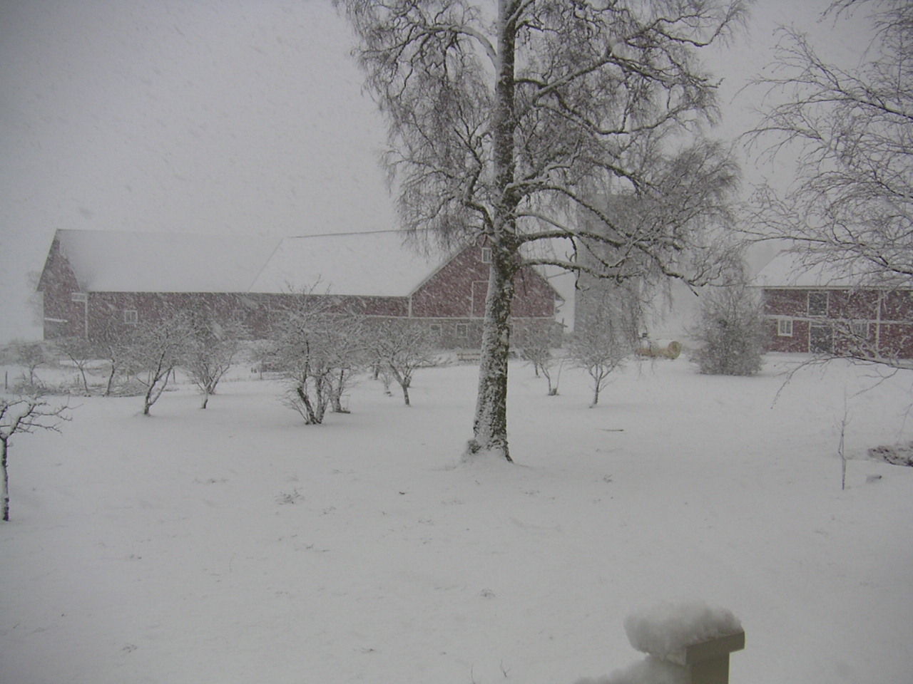 Juldagen såg det bättre ut, jag orkade dock bara sticka ut kameran genom dörren.