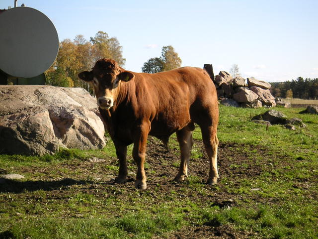 20041010_123135_0.jpg