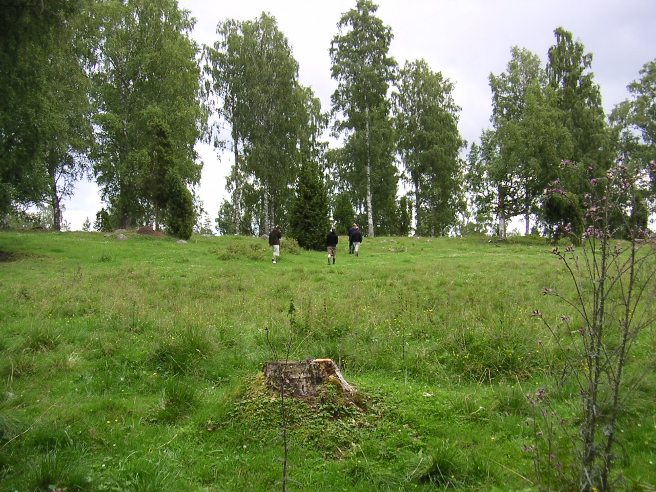 20040726_120517_0.jpg