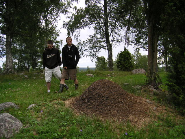 20040726_120626_0.jpg