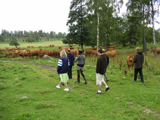20040726_121739_0.jpg