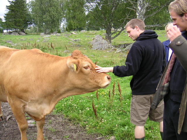 20040726_122331_0.jpg