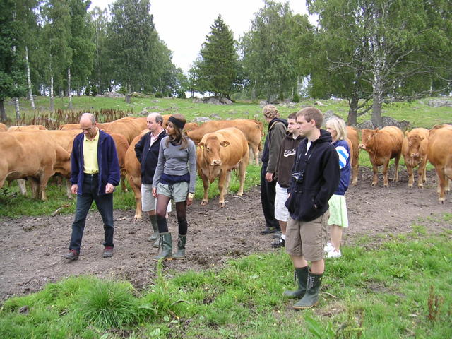 20040726_122642_0.jpg