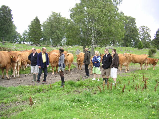 20040726_122652_0.jpg