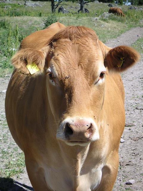 20040617_140506_0.jpg