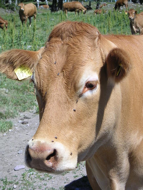 20040617_140525_0.jpg