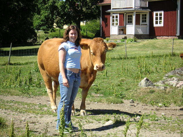 20040617_141013_0.jpg