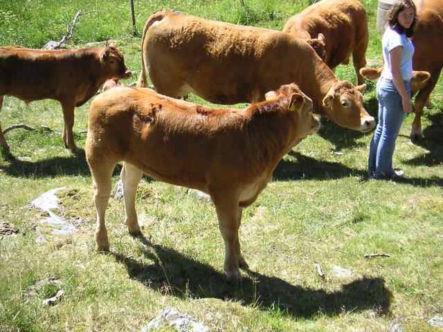 20040617_142116_0.jpg