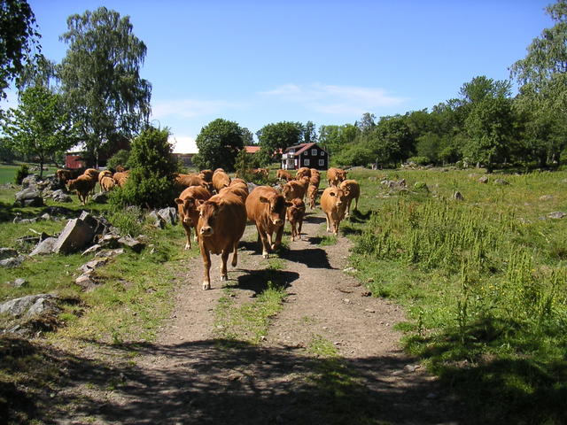 20040617_142830_0.jpg