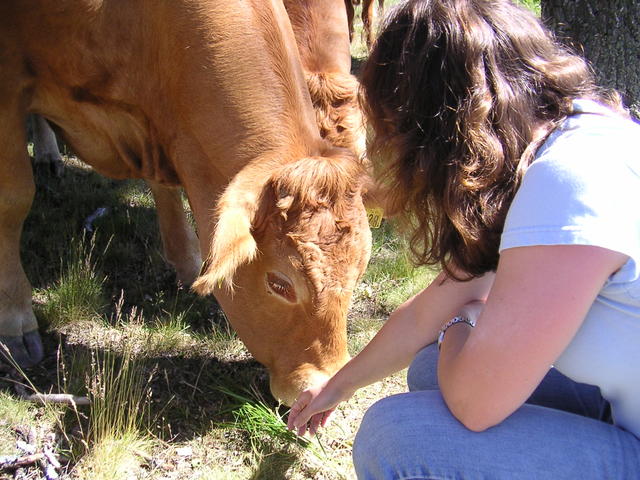 20040617_143245_0.jpg