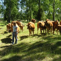 20040617_144336_0.jpg