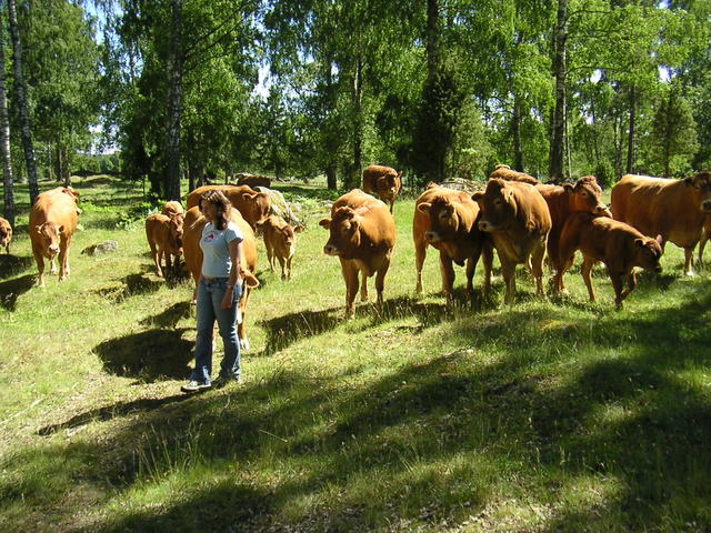 20040617_144336_0.jpg