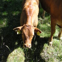 20040617_144444_0.jpg
