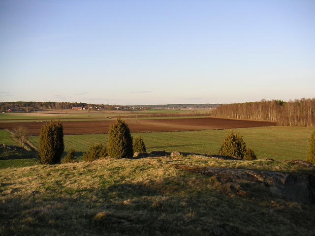 20040424_193020_0.jpg