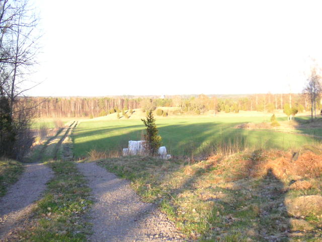 20040424_193906_0.jpg