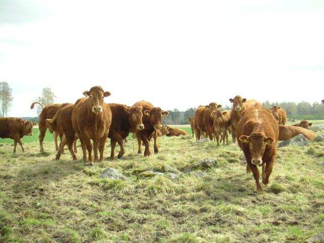 20040424_120828_0.jpg