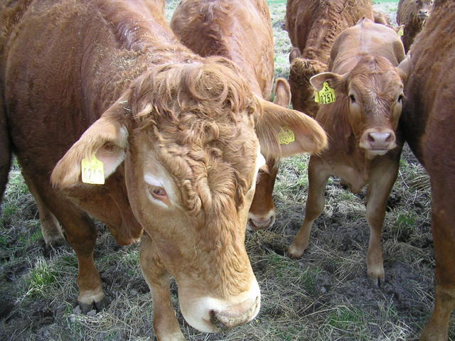 20040424_121003_0.jpg