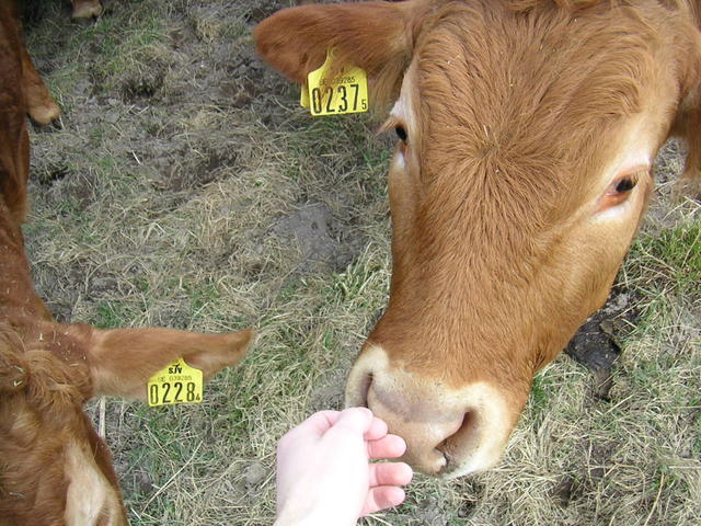 20040424_121218_0.jpg