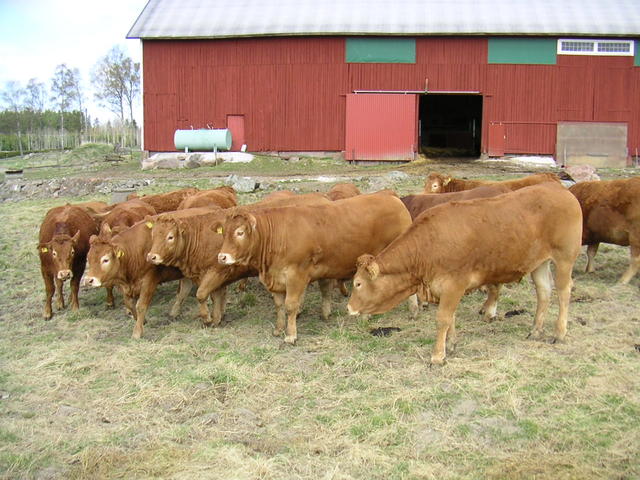 20040424_121314_0.jpg