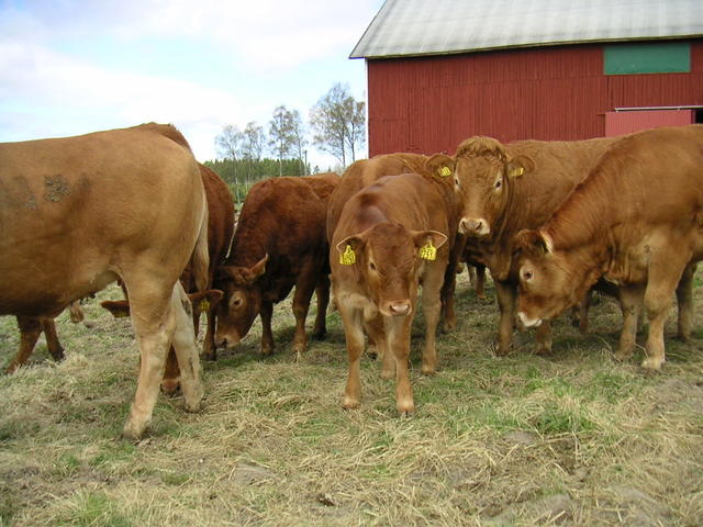 20040424_121331_0.jpg